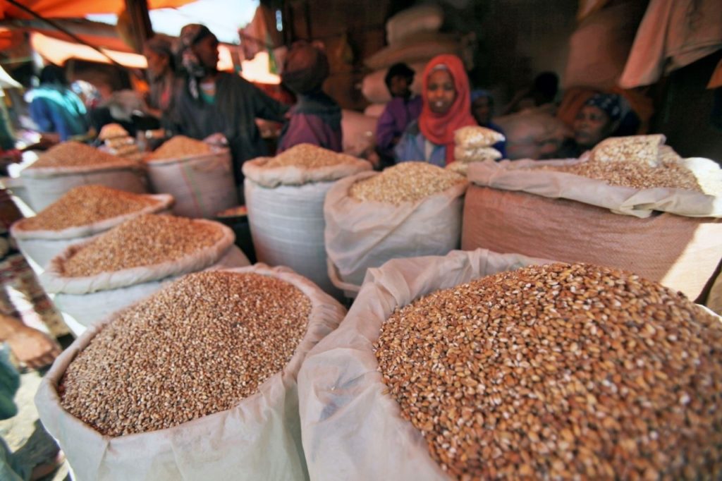 Bins of grain in Somalia