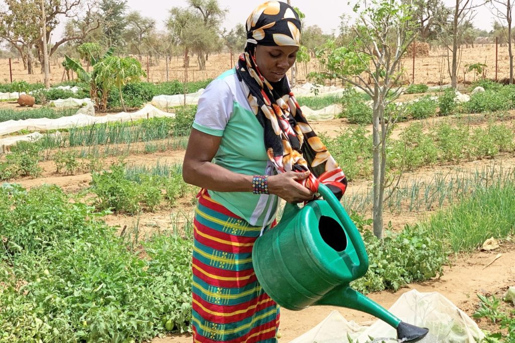 Aissata waters her garden