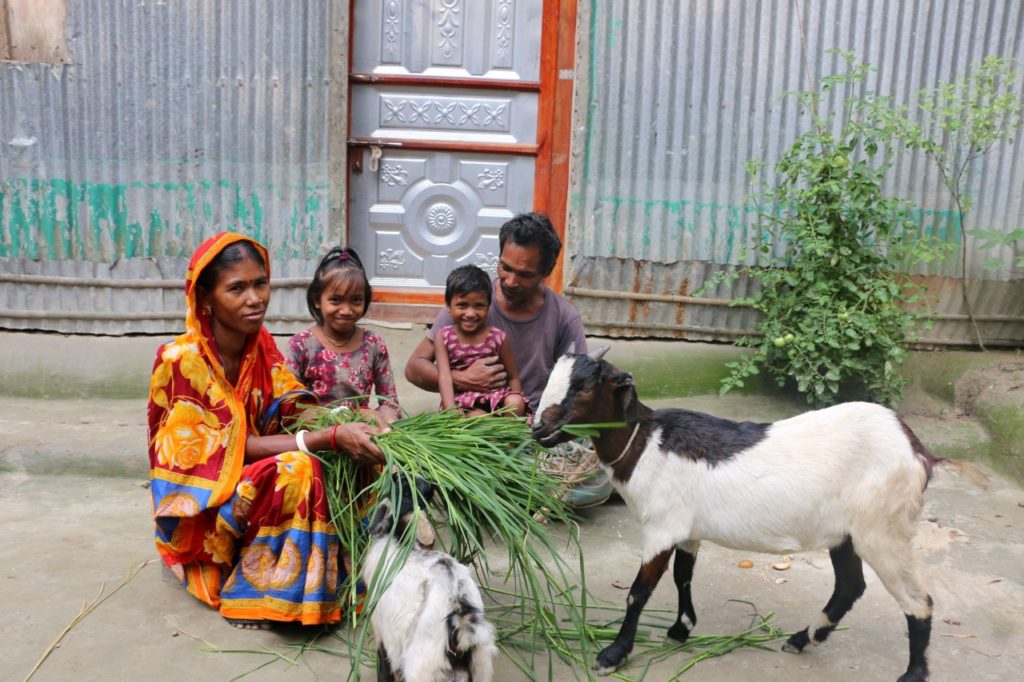 Tara and Budero with their daughters and goats